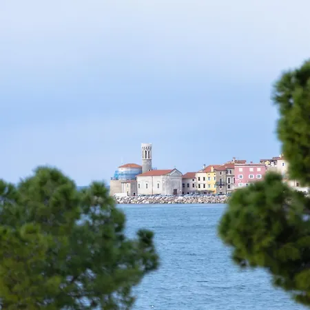 Aparthotel Blue Pearl Elite 4*